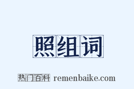 照组词是什么意思的图片